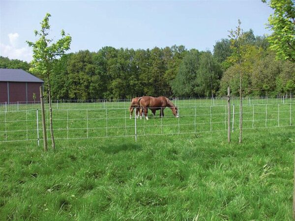 Elektromreža za velike živali - 145 cm