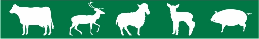 Simboli za živali 5A