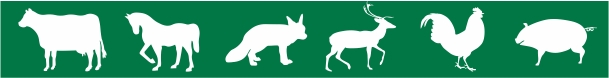 Simboli za živali 6A